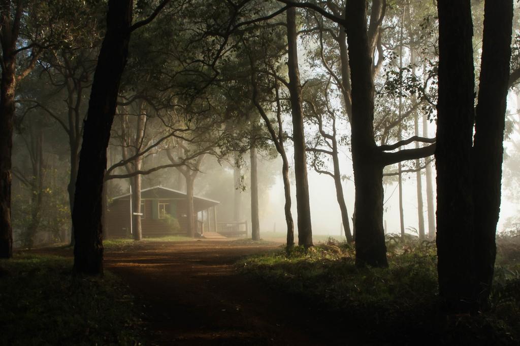 Balingup Heights Hilltop Forest Cottages Экстерьер фото
