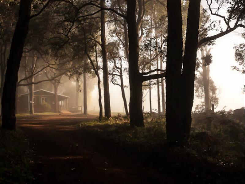 Balingup Heights Hilltop Forest Cottages Экстерьер фото